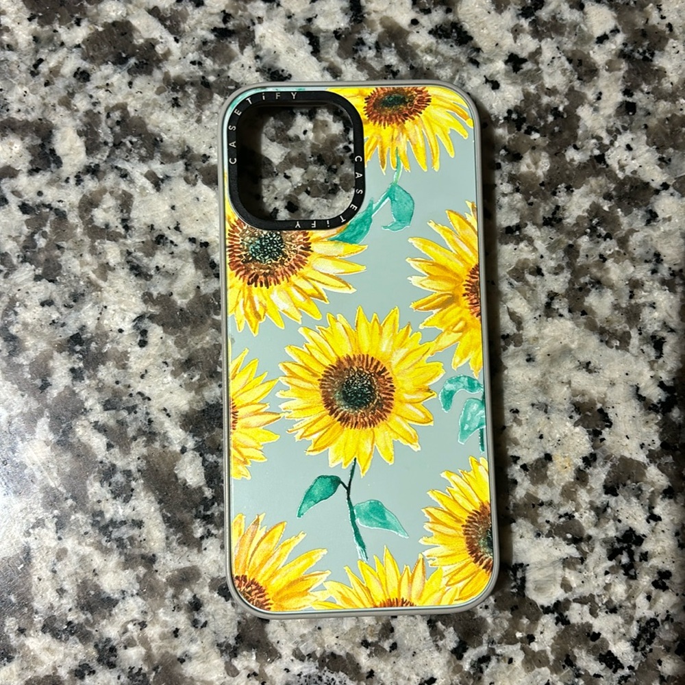 iPhone 13 Pro Max Casetify Case